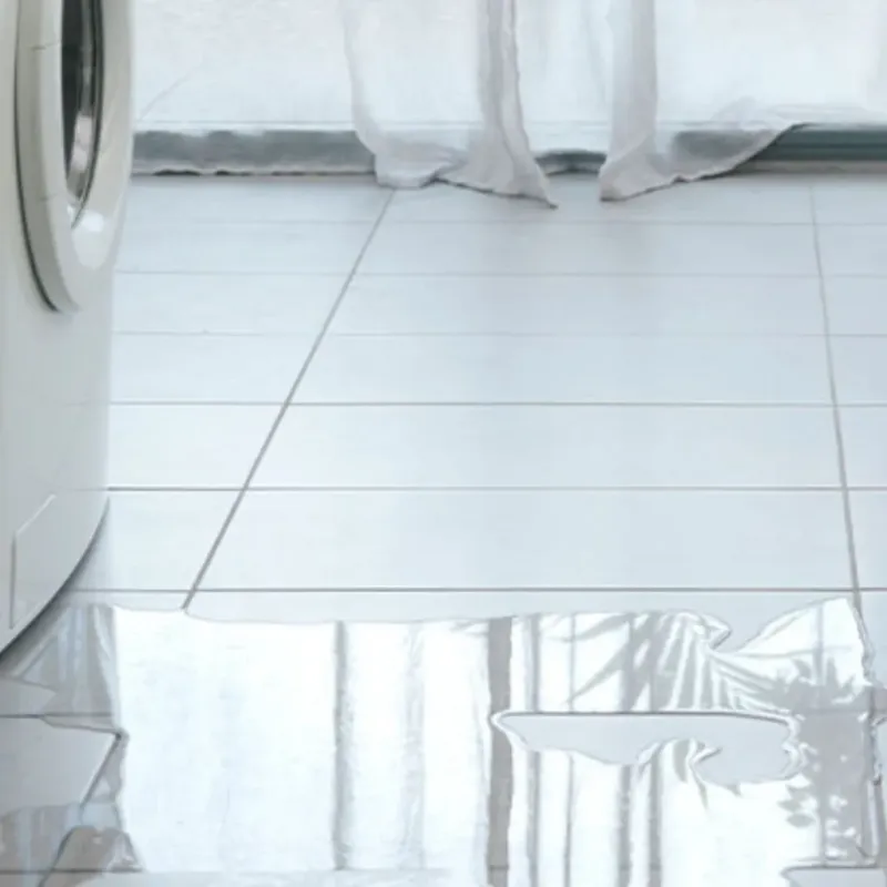 Appliance Leak Cleanup in Jasper County, IA