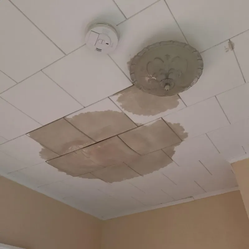 Ceiling Water Damage Repair in Jasper County, IA