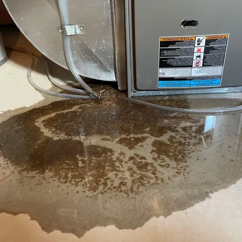 Pipe Burst and Leak Restoration in Jasper County, IA