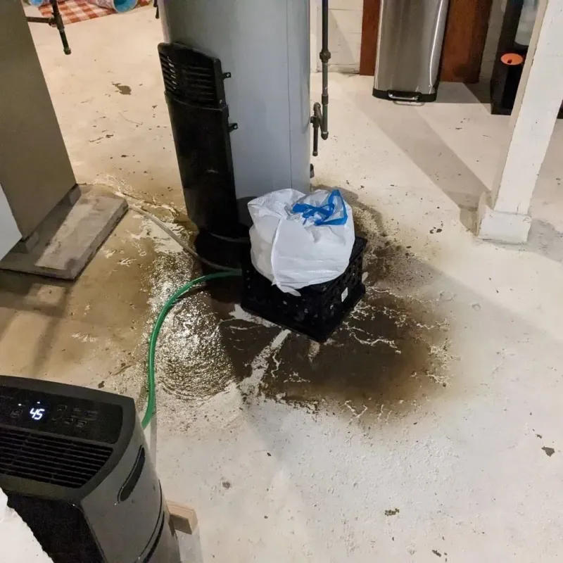 Sewage Backup Cleanup Service in Jasper County, IA